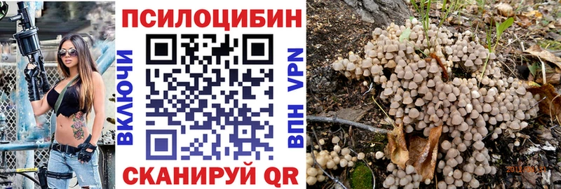 blacksprut зеркало  хочу наркоту  сайты даркнета Telegram  Галлюциногенные грибы MAGIC MUSHROOMS  Полярный 
